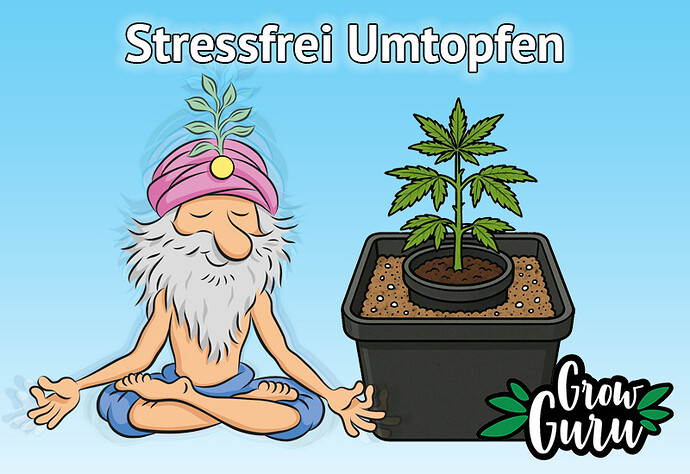 umtopfen_800x550