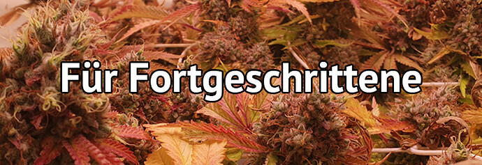 Für Fortgeschrittene