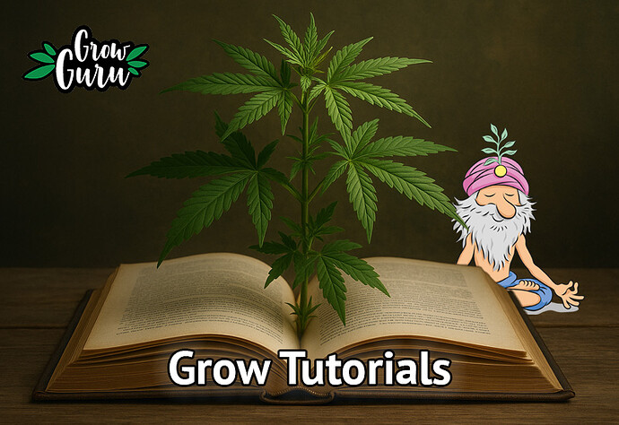 Willkommen in der Tutorial-Ecke zum Cannabisanbau
