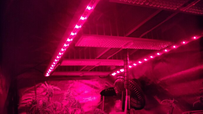 photo_2025-05-08_09-21-17