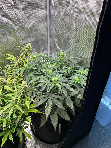 IMG_6073