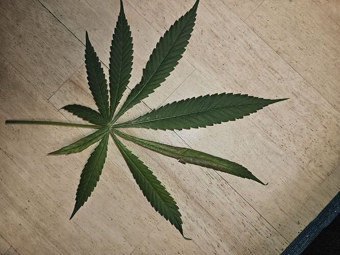 PK_2