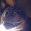Xeno_3545